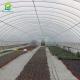 8x30m Tomato Poly Tunnel Greenhouse 150-200micron Plastic Film Hemp Greenhouses