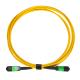 24 Fibers MPO APC Female to APC Female OS2 Trunk Cable Single Mode
