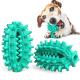 Puzzle Game Cactus TPR Dog Teeth Cleaning Cute Pet Toys