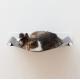 Wall Mount Multi-Layer Cat Post for Climb and Scratch Ideal for Multi-Cat Households