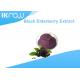 Herbal Remedies Black Elderberry Extract Powder , Fruit Anthocyanin Powder