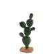 Realistic Plant Figures Cactus Model Toy Collection Party Favors Toys