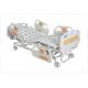 Multi Function Powder Coated Detachable Medical Electric Bed