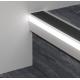 Stair Anti Slip Aluminum LED Profiles