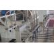 Advanced Petri Dish Filling Machine with Integrated Servo Stacking and Double-zone Dish