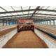 Annual Output 50000 Tons 120kw Organic Fertilizer Production Plant