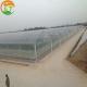 Galvanized Square Steel Pipe Multi-span Film Greenhouse for Irrigation and Ventilation