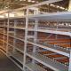 Durable Warehouse Metal Storage Pallet Live Racking Color Powder Coating