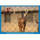 Durable Animal Enclosure Mesh , Zoo Wire Mesh High Anti Corrosion