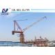 8t Building Luffing Tower Crane D3025 Model 30m Jib Length 2.5t End Load