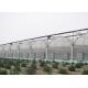 Anti Wind Climate Control Lettuces Multi Tunnel Greenhouse