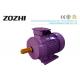 4 Pole Three Phase Electric Motor Cast Iron Y2 Vacuum Impregnated Windings