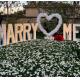 5000 Hours Working Lifetime Marquee Light Up Letters Will You Marry Me Neon Sign Wedding Party Sign