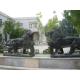 Black marble lions sculpture