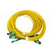 SM OS2  8F 12F 24F Male Female Type A 100% tested MPO MTP Fiber Cable