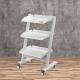 Simple Durable Dental Mobile Cart Stainless Steel Dental Trolley Beauty Salon Use 3 Layers Dental Cart
