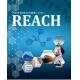 REACH Certification The Key to Enter European Automotive Industry