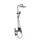 Hotel Bathroom Stainless Rain Shower Set Black Mirror Polishing