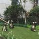 Handmade Bronze Garden Statues Outdoor Decorative Penguin Sculpture