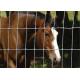 Knot Field Sheep / Cattle Wire Fence High Securety For Farm Easy Install
