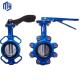 OEM Support 6 Inch Lug Butterfly Valve with Stainless Steel Worm Gear and Handle Wheel