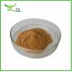 100% Natural Pure Maca Powder Extract 10:1 Maca Extract Powder Maca Root Extract