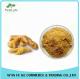 100% Natural Yellow Ginger Extract Powder 10 :1