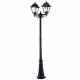Twin Head Antique Cast Iron Lamp Post Powder Coated For House / Garden / Park