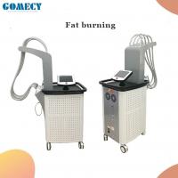 1060nm Lipo Laser Fat Burning Machine With 10.4 touch screen