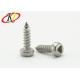 Stainless Steel Triangle Recess Security Self Tapping Screws for Metal