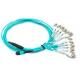 24 Fibers MPO to LC OM3 Fiber Optic MPO-LC 2.0mm Straight harness Cables