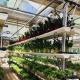 Hydroponic Glass Greenhouse for Flower Cultivation 30-Day Return Refunds a Type Roof