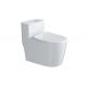 China Supply Sanitary Ware Bathroom Sanitary Washdown One Piece WC Toilets Sets Bathroom Sanitary Ware