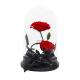 Beauty And The Beast Preserved Rose Glass Dome For Christmas Gift