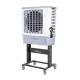 0.38kW 9000m3/H Water Air Cooling Fan 5300CFM For Coffee Bar