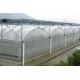 Multi Span Polyethylene Plastic Sheeting Greenhouse Arched Roof Top Height 4.0-8.0m