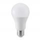 LED Light Bulbs A65