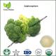 broccoli powder supplement,broccoli sprout extract cancer,broccoli sprouts sulforaphane
