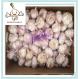 Normal white garlic of  mesh bag high quality china garlic supplier