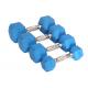 50kgs Oem Custom Dumbbell Body Building Hexagonal Colorful