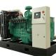 Customized Power Output Environmental Friendly Products Biogas Electricity Generator
