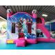 Frozen Double Slide Bounce House Combos Inflatable Bouncer