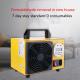 Plastic Ozone Odor Eliminator Generator 10g/H for Household
