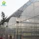200 Micro Plastic Film Greenhouse Multi Span Vegetable Growing Indoor Greenhouse