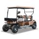 LSV 4 Searter Golf Cart Chinese OEM Maximum Performance Wholesale Electric Vehicle