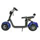 TM-TX-07   1000W Long Range Electric Scooter , Blue Electric Motorcycle Wheel Material Steel