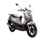 EEC DOT EPA 50cc Gas 2-stroke 4-stroke  single-cylinder air-cooled Scooter Large turtle125