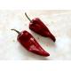 Capsicum Yidu Chili Air Dried Dehydrated Whole Chilli Pods Spicy Fragrance