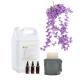 Long Lasting Violet Fragrance Oil Candle Essential Oils Used For Candle Making