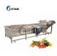 Industrial Automatic Vegetable And Fruit Washing Cleaning Machine For Tomato Salad